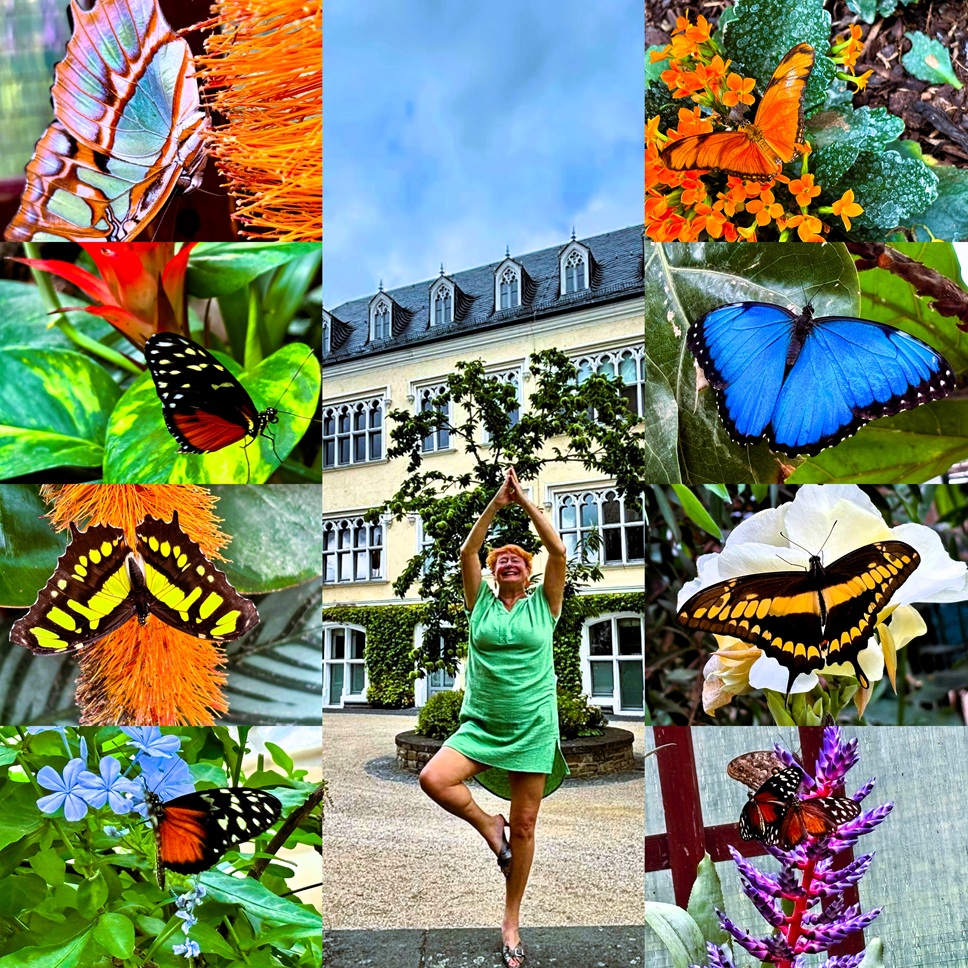 Garten der Schmetterlinge Sayn